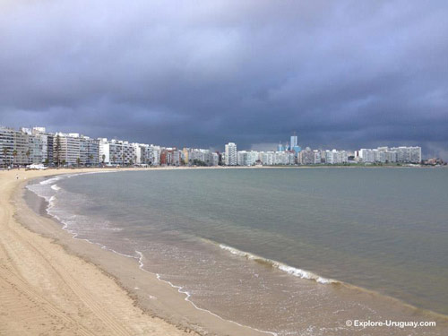 Pocitos Beach Uruguay in Montevideo