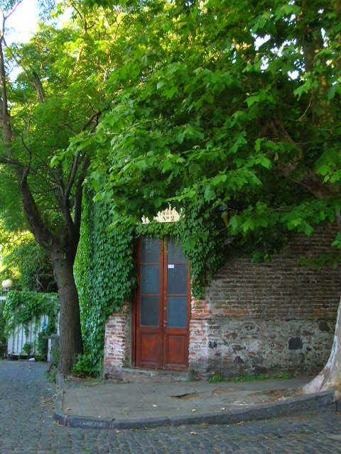 Colonia doorway picture