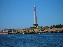 Isla de Lobos Punta del Este Uruguay